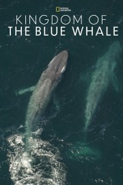 watch Kingdom of the Blue Whale free online