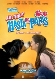 watch Un amor hasta las patas free online