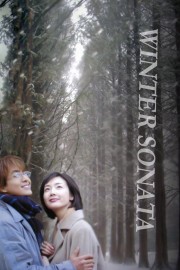 watch Winter Sonata free online