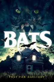 watch Bats free online