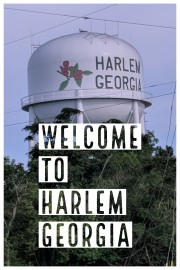 watch Welcome to Harlem, Georgia free online