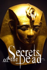 watch Secrets of the Dead free online