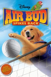 watch Air Bud: Spikes Back free online