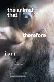 watch The Animal That Therefore I Am free online