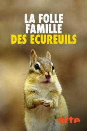 watch La folle famille des écureuils free online