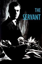 watch The Servant free online