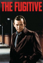 watch The Fugitive free online