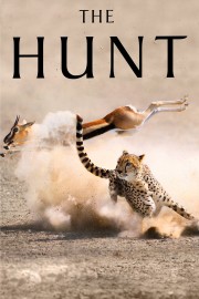 watch The Hunt free online