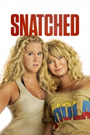 watch Snatched free online