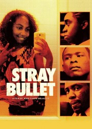 watch Stray Bullet free online