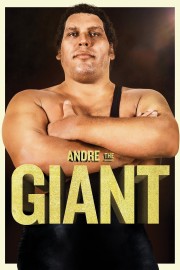 watch Andre the Giant free online