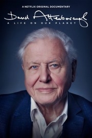 watch David Attenborough: A Life on Our Planet free online