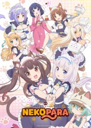 watch Nekopara free online