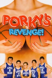 watch Porky's 3: Revenge free online