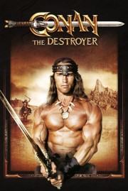 watch Conan the Destroyer free online