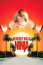 watch Beverly Hills Ninja free online