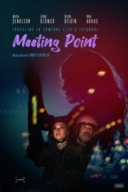 watch Meeting Point free online