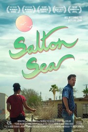 watch Salton Sea free online