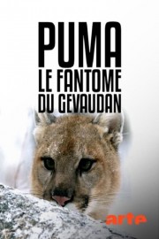 watch Puma, le fantôme du Gévaudan free online