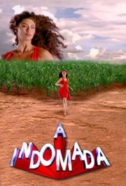 watch A Indomada free online