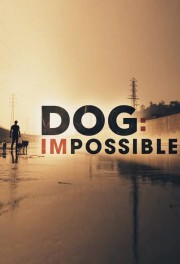 watch Dog: Impossible free online