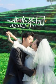 watch Love in the Tea Garden free online