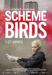 watch Scheme Birds free online