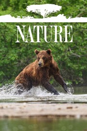 watch Nature free online