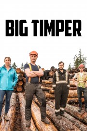 watch Big Timber free online