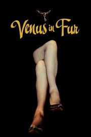 watch Venus in Fur free online