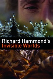 watch Richard Hammond's Invisible Worlds free online