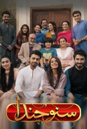 watch Suno Chanda free online