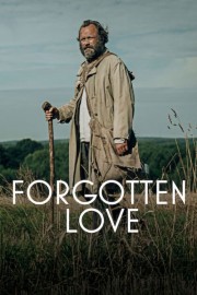 watch Forgotten Love free online