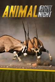 watch Animal Fight Night free online