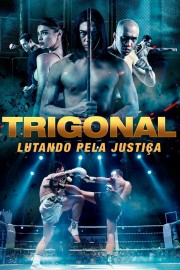 watch The Trigonal: Fight for Justice free online