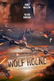 watch Wolf Hound free online