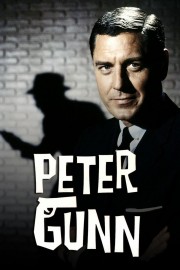 watch Peter Gunn free online