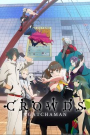 watch Gatchaman Crowds free online