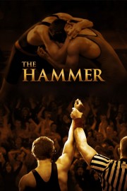 watch The Hammer free online