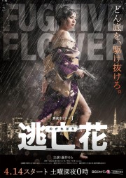 watch Fugitive Flower free online