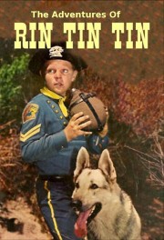 watch The Adventures of Rin Tin Tin free online