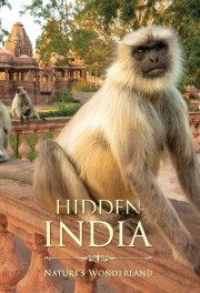 watch Hidden India free online