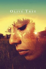 watch The Olive Tree free online