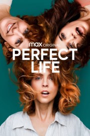 watch Perfect Life free online