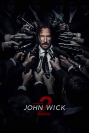 watch John Wick: Chapter 2 free online