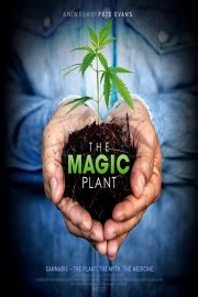 watch The Magic Plant free online