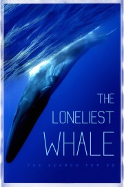 watch The Loneliest Whale: The Search for 52 free online