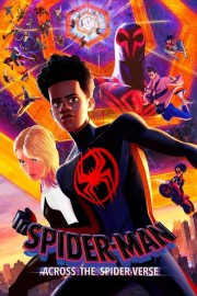 watch Spider-Man: Across the Spider-Verse free online