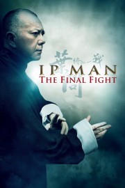 watch Ip Man: The Final Fight free online