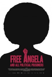 watch Free Angela and All Political Prisoners free online